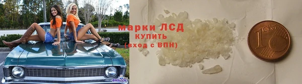 ГАЛЛЮЦИНОГЕННЫЕ ГРИБЫ Рославль