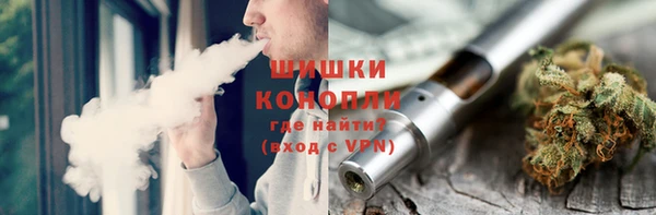 ГАЛЛЮЦИНОГЕННЫЕ ГРИБЫ Рославль