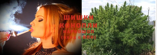 ПСИЛОЦИБИНОВЫЕ ГРИБЫ Абаза