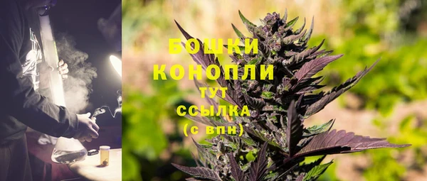 ПСИЛОЦИБИНОВЫЕ ГРИБЫ Абаза