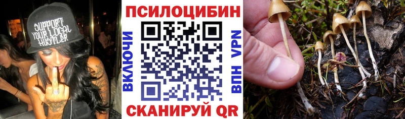 ссылка на мегу ССЫЛКА  Белая Калитва  Галлюциногенные грибы Magic Shrooms 