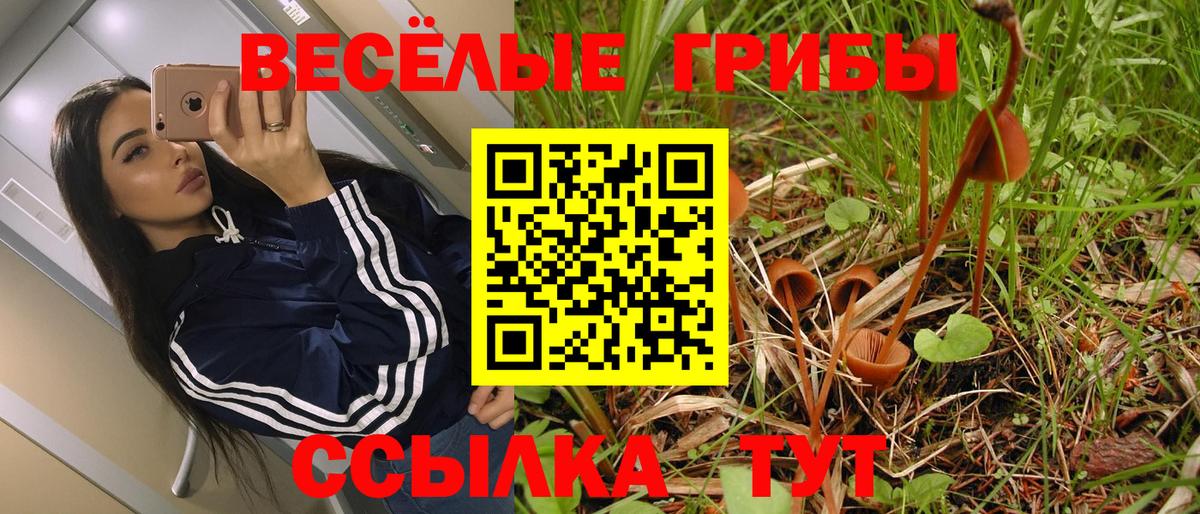 Галлюциногенные грибы GOLDEN TEACHER  даркнет сайт  Вход с VPN  Белая Калитва  Галлюциногенные грибы Cubensis 